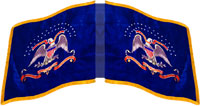 2nd Kansas Colored Infantry dynamic flag