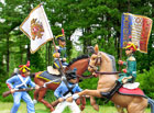 Napoleonic Wars series