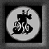 DSG logo
